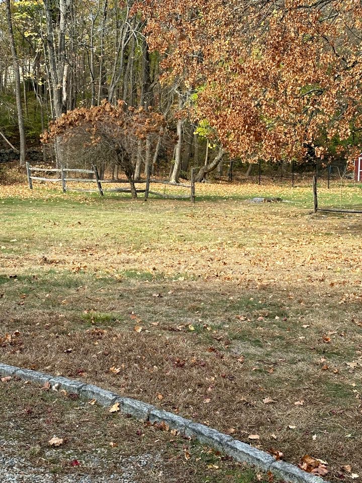 Working with new customer in Norwalk to replace an old split rail fence. 