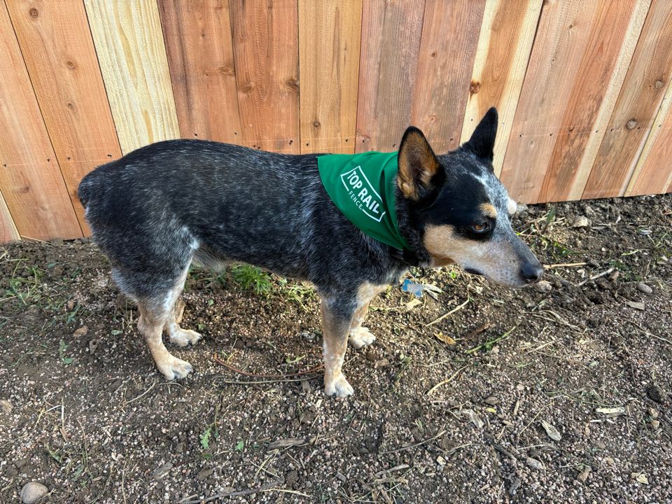 After completing a fence project, the neighbor decided they wanted to jump on board and upgrade their fence as well. She had a whole vision for her back yard and we were the first piece to the puzzle. We did a 6 high cedar privacy fence with. Gate to access the green belt walking path. The customers (and their dog) were thrilled with the results! 