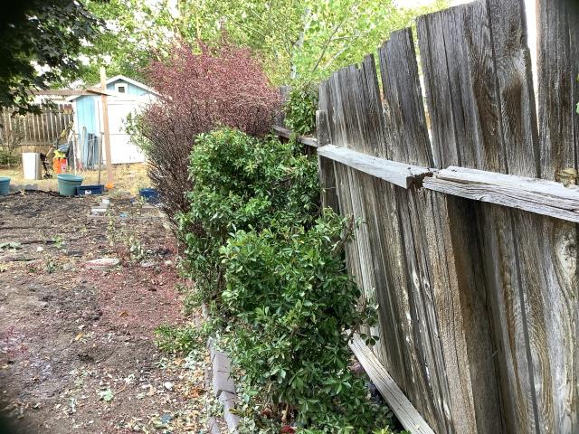 Replaced the very old wood back fence with a great white vinyl that will last twice as long. 