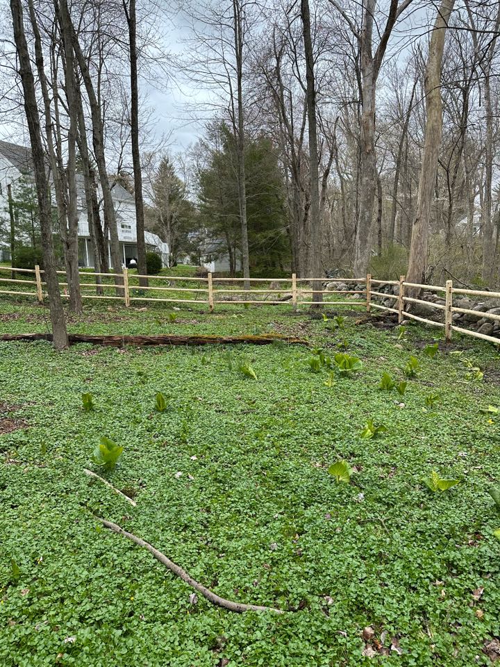 Finishing up a beautiful new 3-rail cedar post and rail fence in Darien! Coyotes kept outside and dogs safe inside!