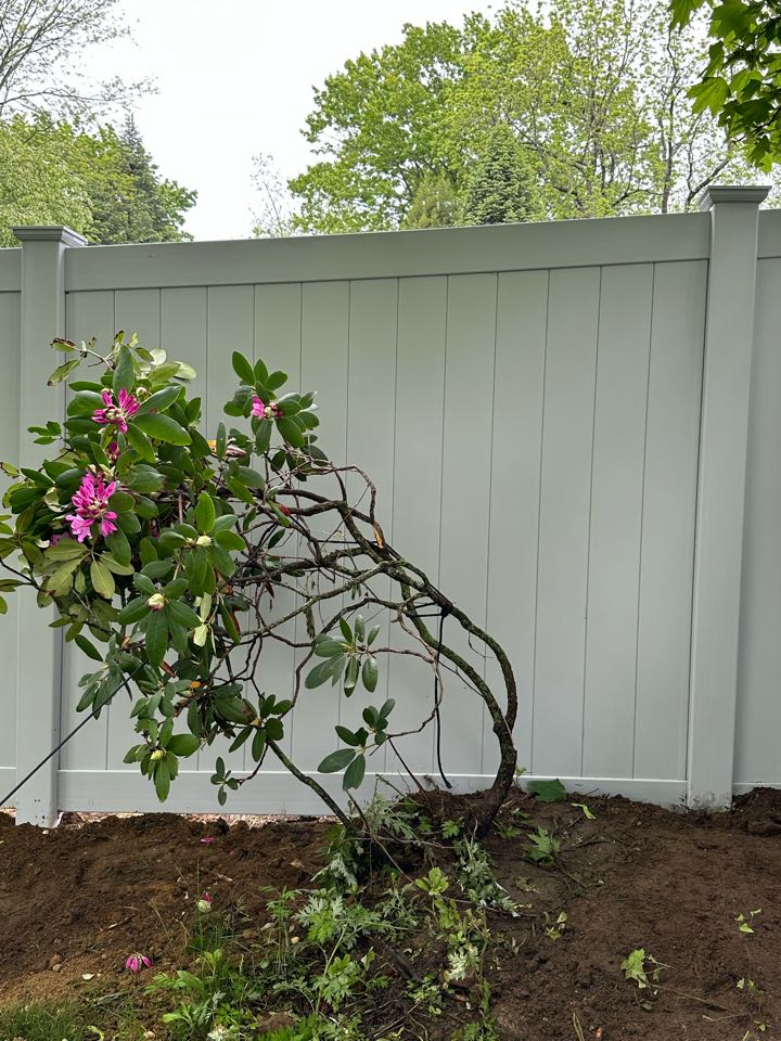 Just finished a beautiful new gray vinyl privacy fence, part with a classic capped picket top, Westport! Privacy and safety for a young family and pets!