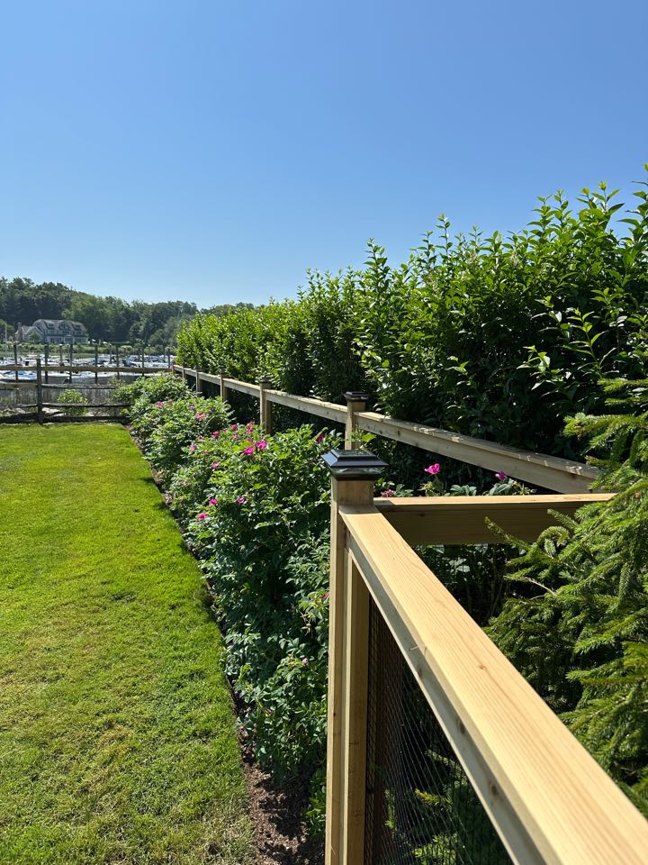 Finishing up a beautiful new cedar framed fence with black coated vinyl mesh to keep the dogs safe inside! A fence that meets all pool code requirements but looks beautiful as well! Right on the sound in Darien. 