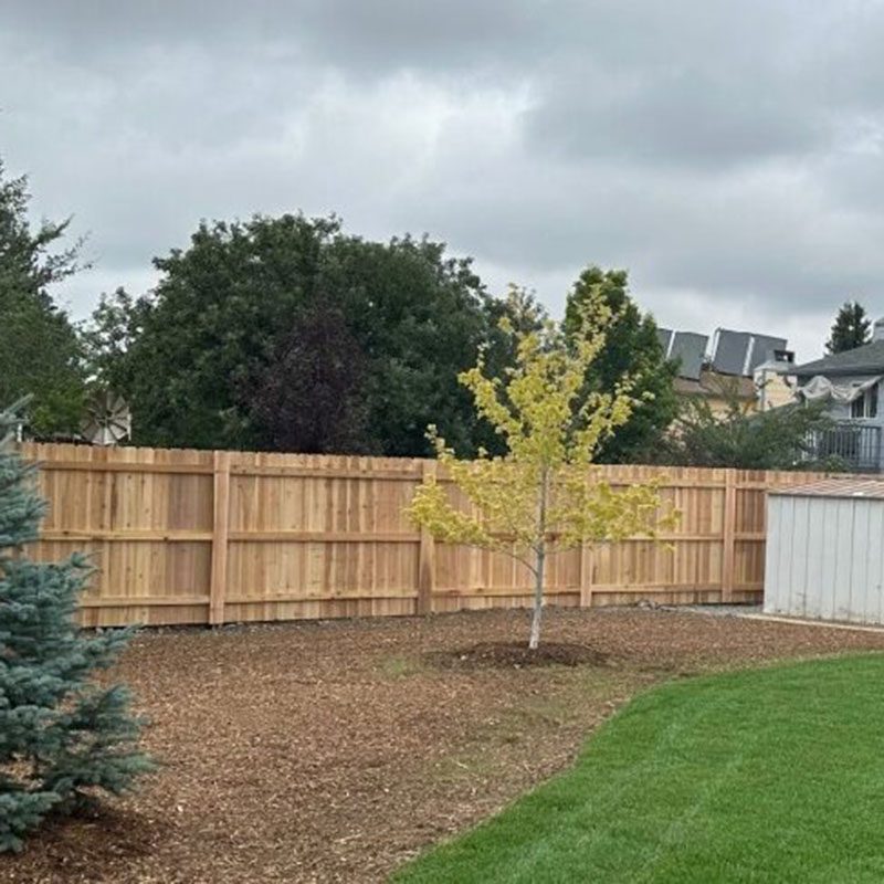 cap and trim wooden stockade fence in fort collins, co
