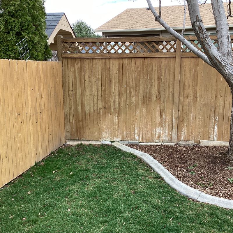 wood privacy lattice fence