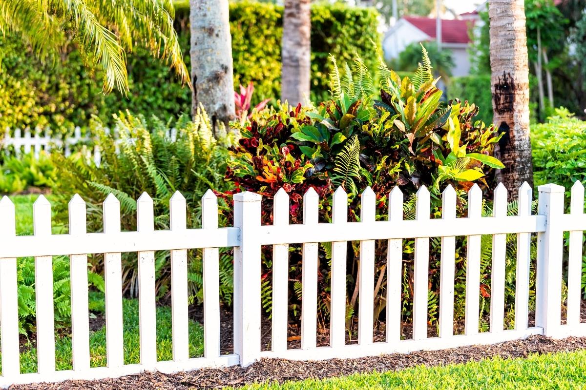 White vinyl picket fence with landscaping