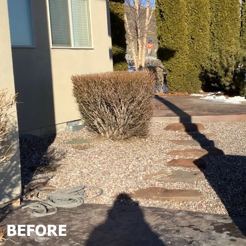 before fence installation by Top Rail Fence