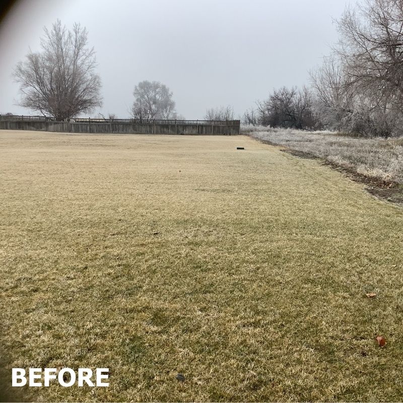 a before image of a old fence