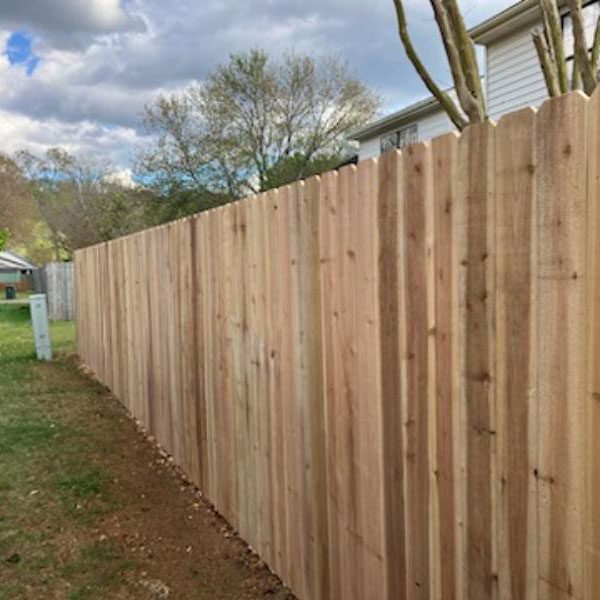 cedar stockade fence
