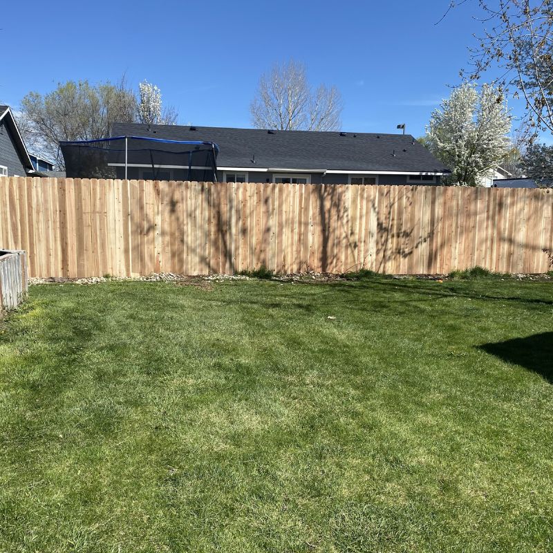 New wood fence in backyard