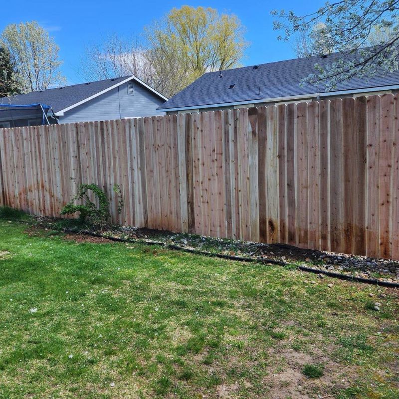 Wood fence in backyard