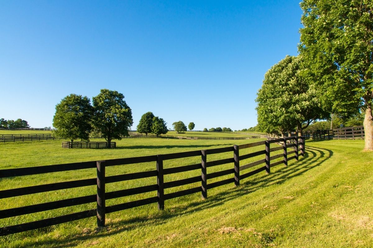 Ranch rail fence made using landscaping timber posts.