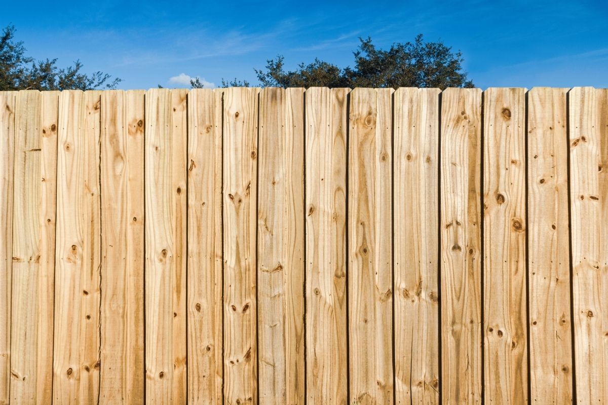 pressure treated pine fence
