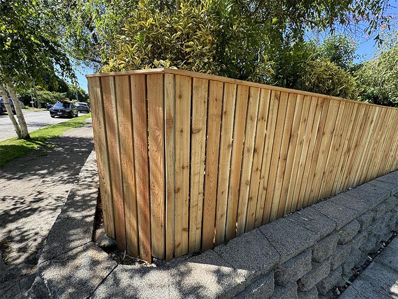 seattle board on board wood fence