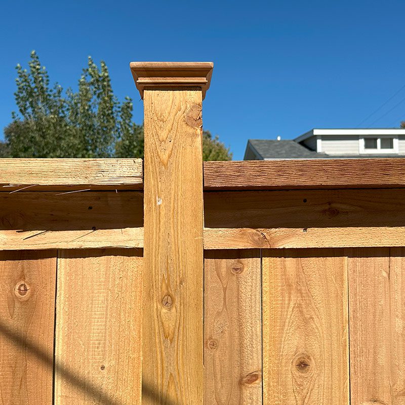 Cap and trim univ blvd wood fence